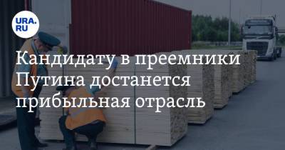 Владимир Путин - Кирилл Дмитриев - Кандидату в преемники Путина достанется прибыльная отрасль - ura.news