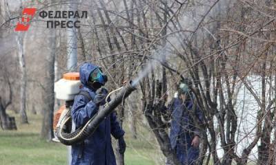 В Иркутске от горностаевой моли обработают 60 тысяч деревьев - fedpress.ru - Иркутск