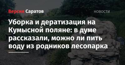 Александр Романов - Уборка и дератизация на Кумысной поляне: в думе рассказали, можно ли пить воду из родников лесопарка - nversia.ru - Саратов