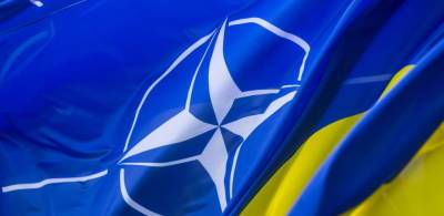 Александр Алесин - НАТО боится брать ответственность за проблемную Украину - politnavigator.net - Россия - Украина - Крым - Белоруссия - Минск