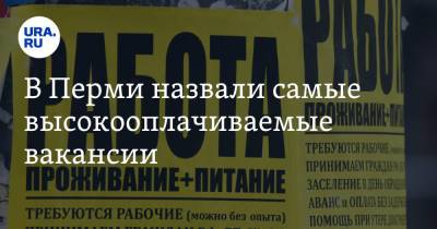 В Перми назвали самые высокооплачиваемые вакансии - ura.news - Пермь