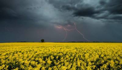 В Украине прогнозируют жару с грозами - lenta.ua - Украина