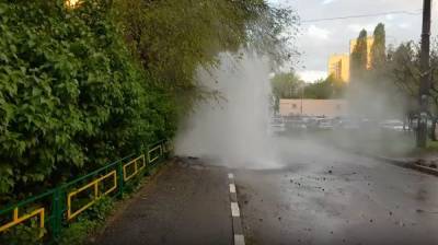 Из-под земли в Воронеже забил двухметровый фонтан: появилось видео - vestivrn.ru - Воронеж