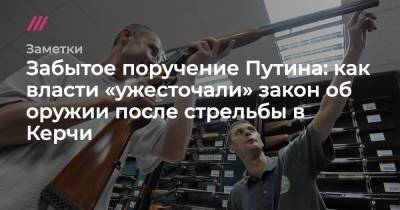 Владимир Путин - Дмитрий Медведев - Забытое поручение Путина: как власти «ужесточали» закон об оружии после стрельбы в Керчи - tvrain.ru - Керчь