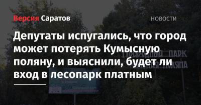 Депутаты испугались, что город может потерять Кумысную поляну, и выяснили, будет ли вход в лесопарк платным - nversia.ru - Саратов