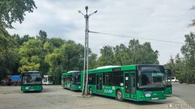 До первого трупа: челябинцы возмущены неработающими кондиционерами в автобусах - newdaynews.ru - Челябинск