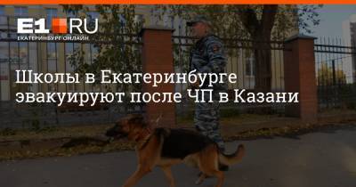 Валерий Горелых - Артем Устюжанин - Школы в Екатеринбурге эвакуируют после ЧП в Казани - e1.ru - Екатеринбург - Казань - Свердловская обл.