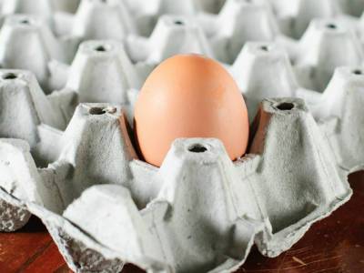 Андрей Белоусов - Названы продукты, цены на которые «все еще» беспокоят правительство РФ - rosbalt.ru