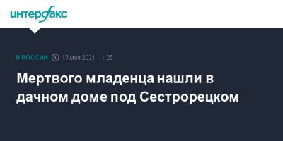 Мертвого младенца нашли в дачном доме под Сестрорецком - interfax.ru - Москва - Санкт-Петербург - Петербург