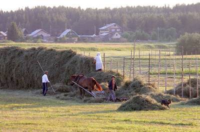 Николай Николаев - Фермерам хотят дать право строить дома на сельхозземлях - pnp.ru