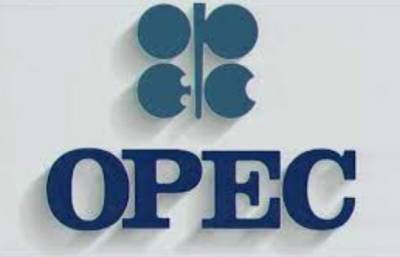 ОПЕК понизила оценку роста поставок нефти из стран не-ОПЕК в 2021 году - take-profit.org