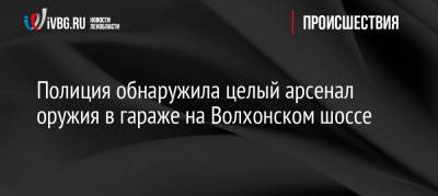 Полиция обнаружила целый арсенал оружия в гараже на Волхонском шоссе - ivbg.ru - Санкт-Петербург - Петербург