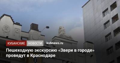 Пешеходную экскурсию «Звери в городе» проведут в Краснодаре - kubnews.ru - Краснодарский край - Краснодар
