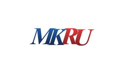 Мончегорский веревочный парк стал самым популярным у местной детворы - murmansk.mk.ru - Мончегорск