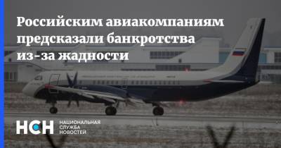 Олег Пантелеев - Российским авиакомпаниям предсказали банкротства из-за жадности - nsn.fm