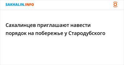 Сахалинцев приглашают навести порядок на побережье у Стародубского - sakhalin.info - Долинск