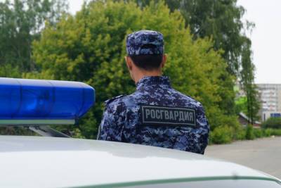 Росгвардейцы задержали в Йошкар-Оле избивших таксиста мужчин - mk.ru - респ. Марий Эл