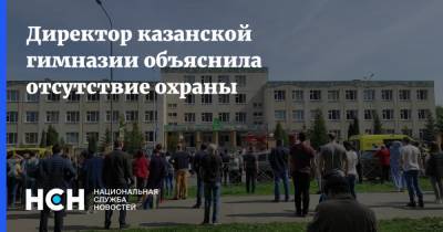 Александр Хинштейн - Директор казанской гимназии объяснила отсутствие охраны - nsn.fm - Казань - Нападение