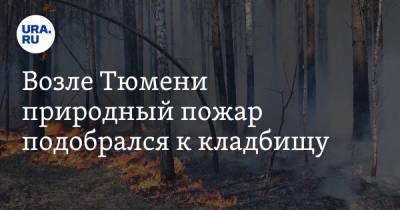 Возле Тюмени природный пожар подобрался к кладбищу. Видео - ura.news - Тюмень