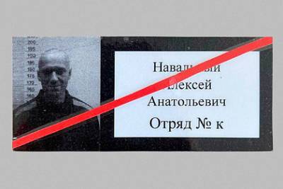 Алексей Навальный - Навальный подал иск к еще одной колонии - lenta.ru - Владимирская обл.
