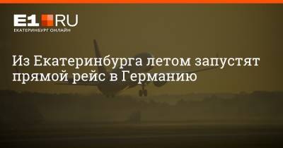 Артем Устюжанин - Из Екатеринбурга летом запустят прямой рейс в Германию - e1.ru - Краснодар - Екатеринбург