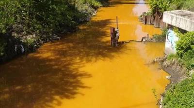 В украинской столице вновь зафиксировано серьезное экологическое бедствие - geo-politica.info - Киев - Рязань - Экология