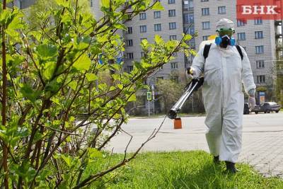 Виктор Бобыря - Сыктывкар начали обрабатывать против клещей - bnkomi.ru - респ. Коми - Сыктывкар