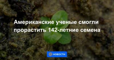 Американские ученые смогли прорастить 142-летние семена - news.mail.ru - шт. Мичиган