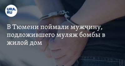 В Тюмени поймали мужчину, подложившего муляж бомбы в жилой дом - ura.news - Тюмень - Тюменская обл.