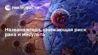 Михаил Гинзбург - Названа ягода, снижающая риск рака и инсульта - ria.ru - Москва
