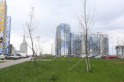 Александр Беглов - В апреле Петербург стал гуще на 5000 деревьев - neva.today - Санкт-Петербург