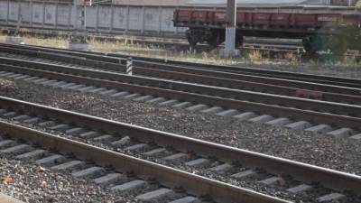 Летом между Петербургом и Москвой пустят дополнительные двухэтажные поезда - piter.tv - Москва - Санкт-Петербург - Финляндия