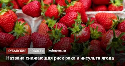 Михаил Гинзбург - Названа снижающая риск рака и инсульта ягода - kubnews.ru