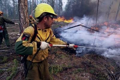 В Кольском районе собирают добровольцев для оказания помощи в тушении природных пожаров - murmansk.mk.ru - Мурманск - район Кольский