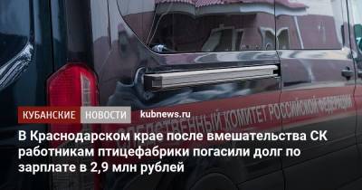 В Краснодарском крае после вмешательства СК работникам птицефабрики погасили долг по зарплате в 2,9 млн рублей - kubnews.ru - Краснодарский край - Следственный Комитет
