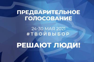 Предварительное голосование «Единой России»: как принять участие - kostroma.mk.ru - район Костромской