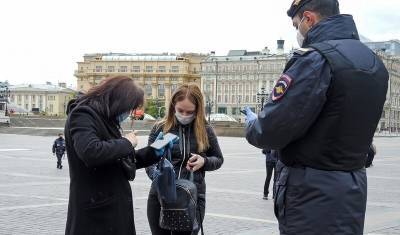 Власти удалили персональные данные москвичей, используемые для оформления пропусков - newizv.ru - Москва