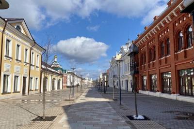 Алексей Дюмин - Туляки предлагают восстановить аэропорт - tula.mk.ru - Тула - Тульская обл.