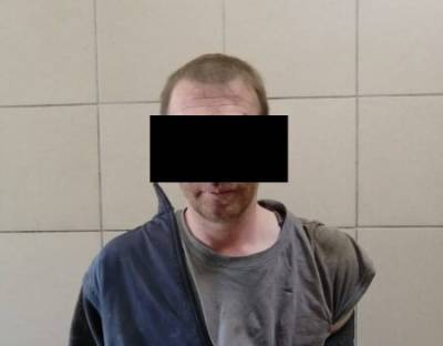 Полицейские утихомирили пьяного дебошира на улице Новоселов в Рязани - 7info.ru - Рязань