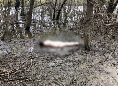 Следователи сообщили о появлении племянника рязанки, обнаженный труп которой нашли в Лесопарке - ya62.ru - Рязань