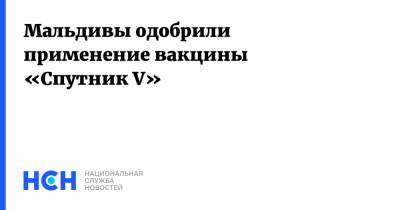 Кирилл Дмитриев - Мальдивы одобрили применение вакцины «Спутник V» - nsn.fm - Мальдивы - Сан Марино