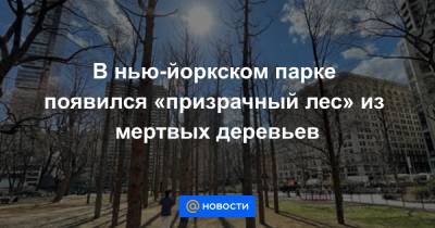 В нью-йоркском парке появился «призрачный лес» из мертвых деревьев - news.mail.ru - Нью-Йорк - шт.Нью-Джерси - шт. Калифорния