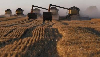 СовЭкон повысил прогноз урожая пшеницы в РФ в 21г до 81,7 млн т - smartmoney.one - Москва - Krasnoyarsk - Reuters