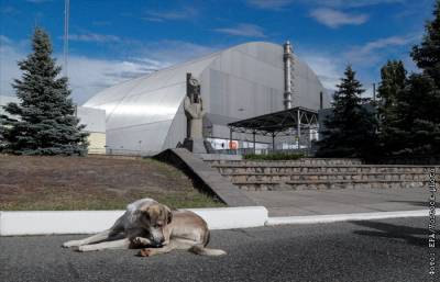 Украинский - Украинский ядерный центр счел контролируемыми процессы под куполом ЧАЭС - interfax.ru - Москва - Украина