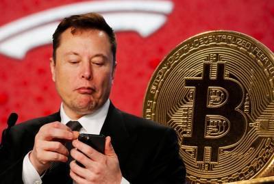 Дональд Трамп - Илон Маск - Bitcoin - Одним твитом: Зачем Илон Маск обвалил Bitcoin - kp.ua