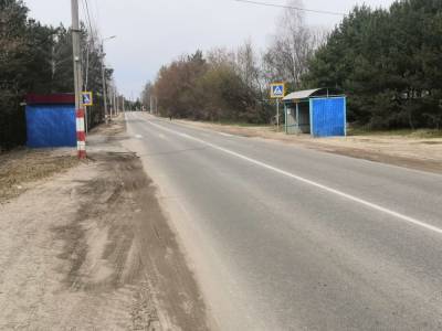 Шестнадцать остановок установят на подъезде к Бору - vgoroden.ru - Нижегородская обл. - Нижний Новгород