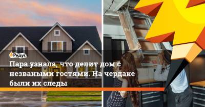 Пара узнала, что делит дом с незваными гостями. На чердаке были их следы - ridus.ru - Австралия