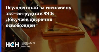 Осужденный за госизмену экс-сотрудник ФСБ Докучаев досрочно освобожден - nsn.fm - Москва