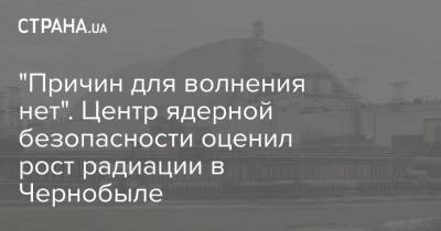 "Причин для волнения нет". Центр ядерной безопасности оценил рост радиации в Чернобыле - strana.ua