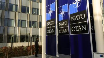 Александр Старовойтов - Энтони Блинкен - Депутат Старовойтов указал на отсутствие интереса украинцев к НАТО - polit.info - США - Украина - Киев